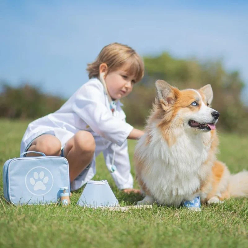 Bigjigs Toys Veterinary Set - Image 4