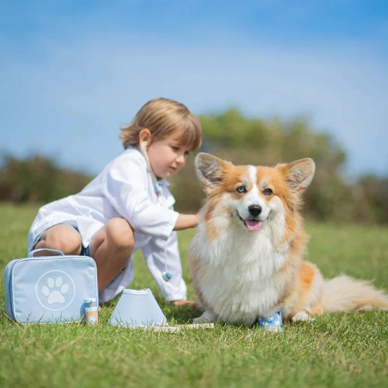 Bigjigs Toys Veterinary Set - Image 6
